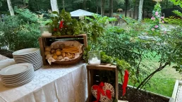 pane piatti tavolo parco