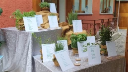 erbe tavolo la beccaccia